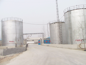 ��ȩ��Ԕ��(x��)��B