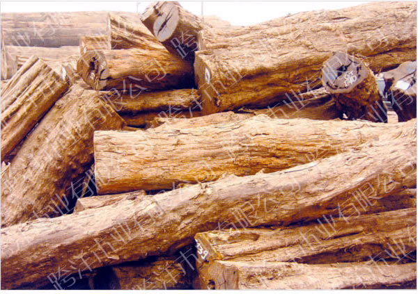 �|�Ǻ��S̴��Ԕ����B