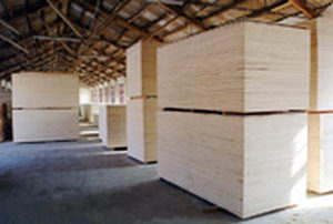 ͩľƴ���Ԕ��(x��)��B