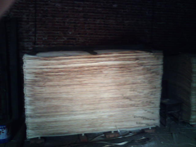 ������Ƥ��Ԕ��(x��)��B