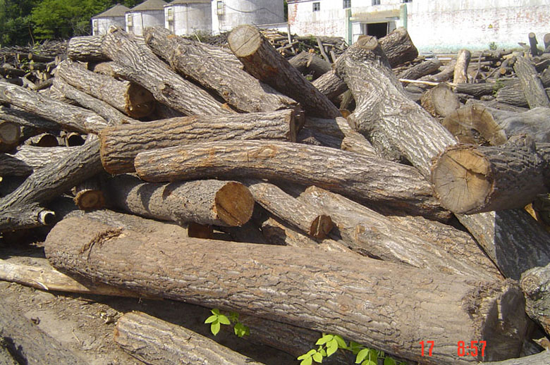 ��ľԭľ��Ԕ����B