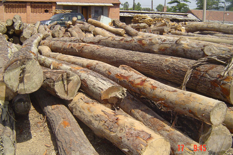 ����ԭľ��Ԕ����B