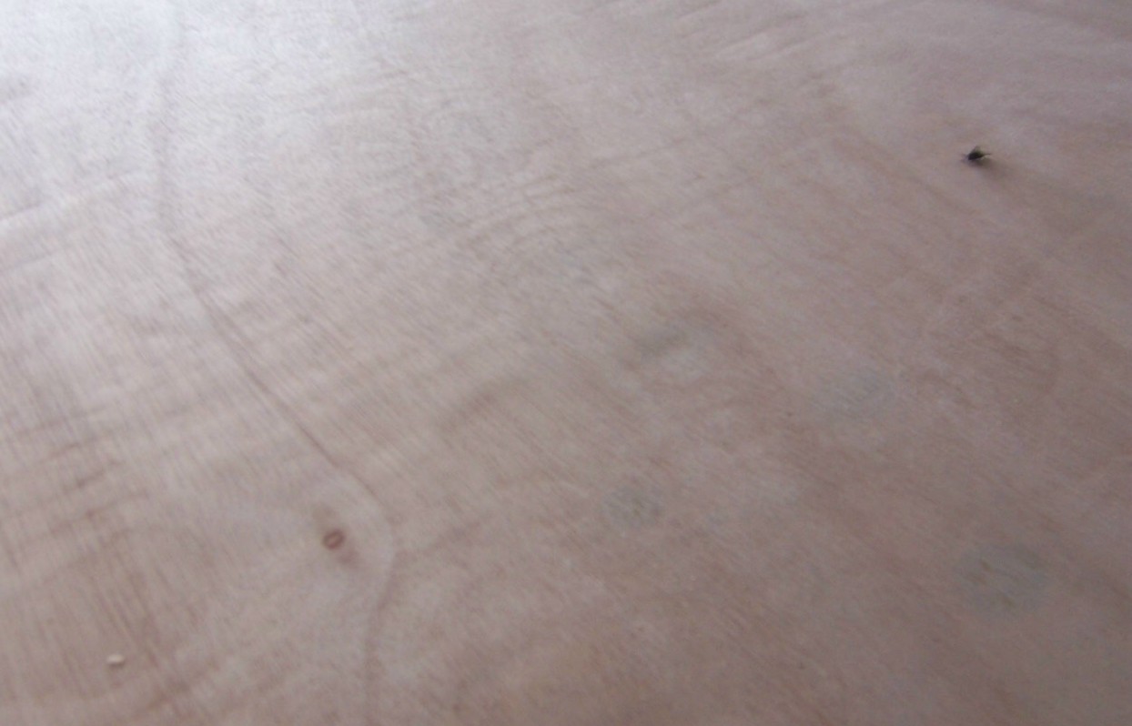 ��(x��)ľ�����Ԕ��(x��)��B