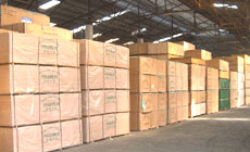 ���Ӱ��Ԕ����B