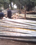 ����Ԕ����B