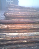 ɼԭľ��Ԕ����B