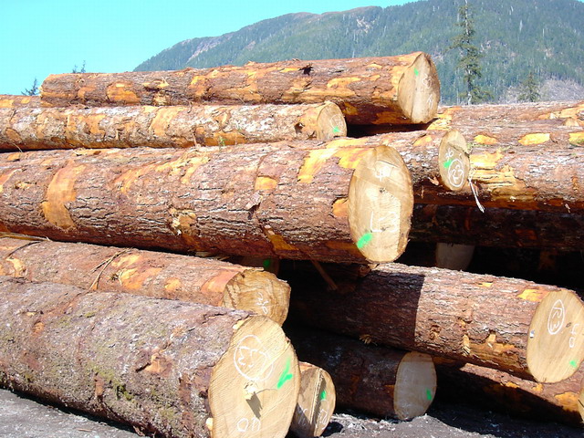 �Fɼԭľ��Ԕ����B