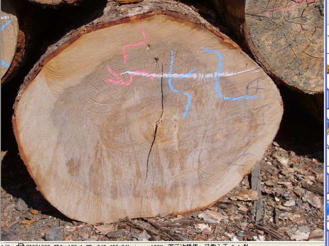 ���_˹����ԭľ