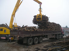 ľ��ж܇���Ѷ�������b܇�Cе2��Ԕ����B