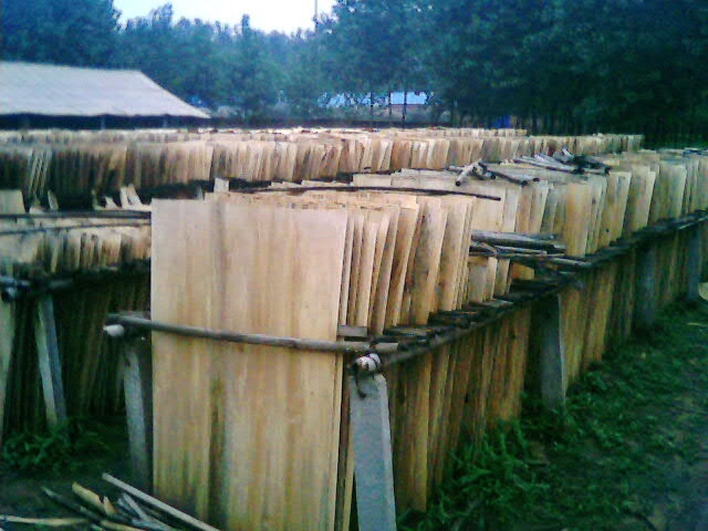 ��ľ���Ԕ��(x��)��B