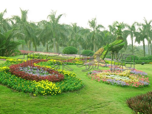 ģ�y����������ِꖵ�Ԕ����B