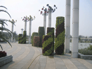 ���w���������w������Ԕ����B