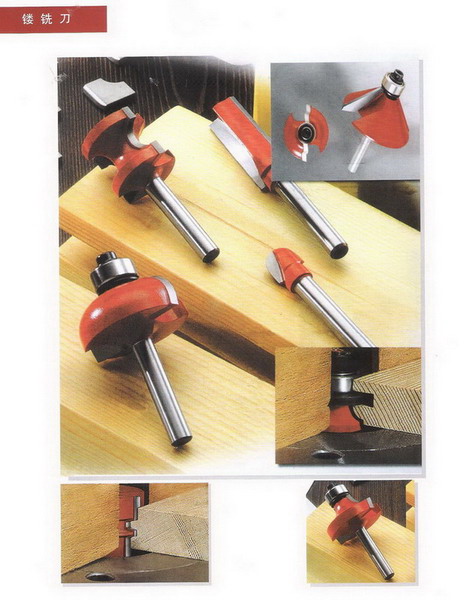 ��㊵�ϵ��