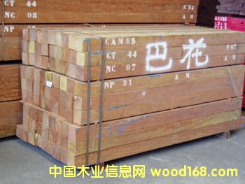 �����M�ڰͻ�ľ����Ԕ����B