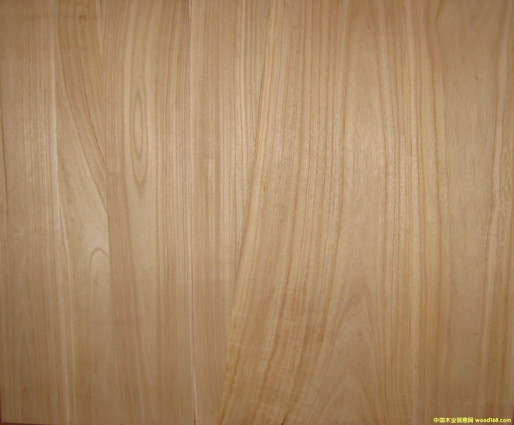 ָ�Ӱ��Ԕ��(x��)��B