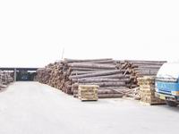 ���ڴ��ŵ�Ԕ��(x��)��B