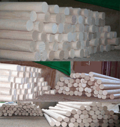 �B�ۗ���Ԕ��(x��)��B