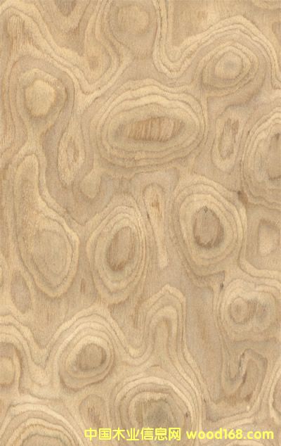 ����������Ԕ��(x��)��B