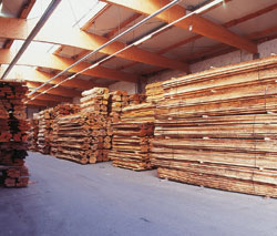 �W�޵�Ԕ��(x��)��B