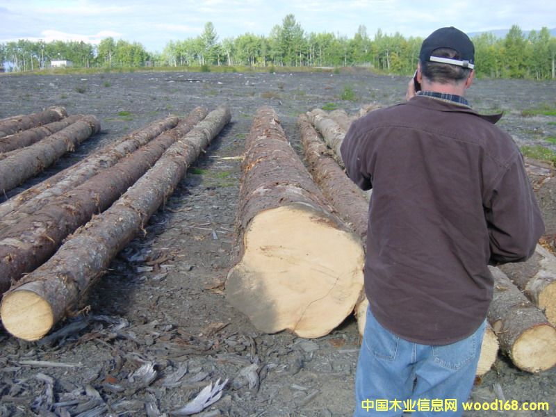 ��ɼ�DƬ��Ԕ��(x��)��B