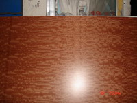 �������Ԕ����B