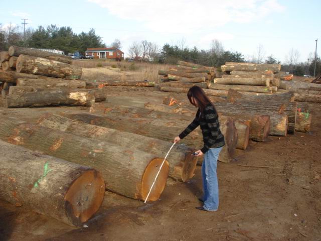 Red Oak��Ԕ��(x��)��B