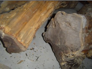 �|�Ǻ��S̴��Ԕ��(x��)��B