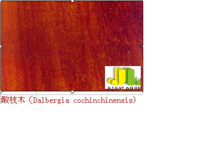 ��֦ľ��Ԕ����B