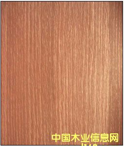 ���y�ε�Ԕ��(x��)��B