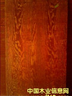 ����ģ���Ԕ��(x��)��B