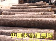 5��Ԕ��(x��)��B