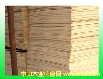 ���Ӱ��Ԕ��(x��)��B