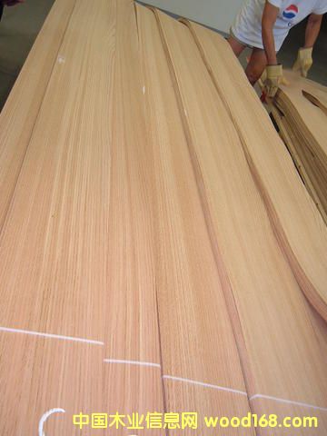 �t��ľƤ��Ԕ��(x��)��B