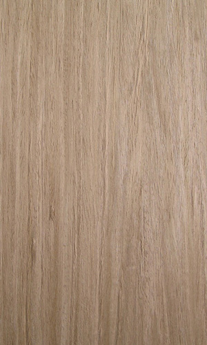 ��õ��611��Ԕ��(x��)��B