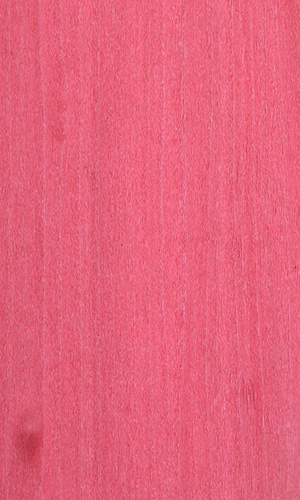 �tõ���Ԕ��(x��)��B