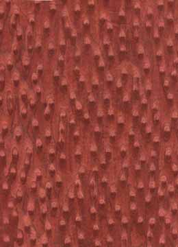 �t؈�۵�Ԕ����B