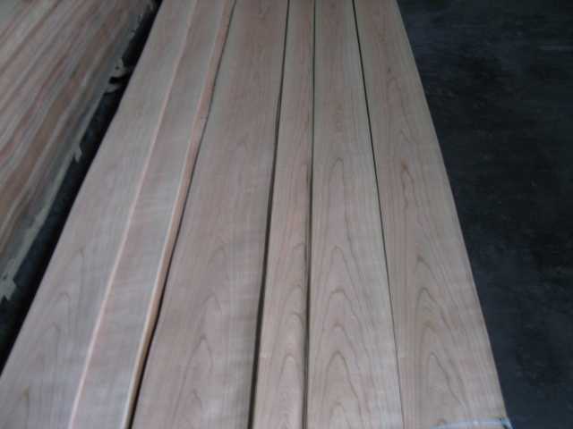 ����ɽ�y��Ԕ����B