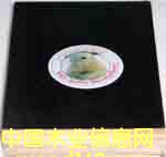 ���O�ܽ�����ˮģ���Ԕ��(x��)��B