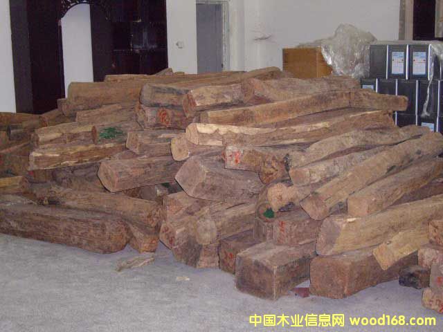 �ϓ�t��֦��Ԕ��(x��)��B