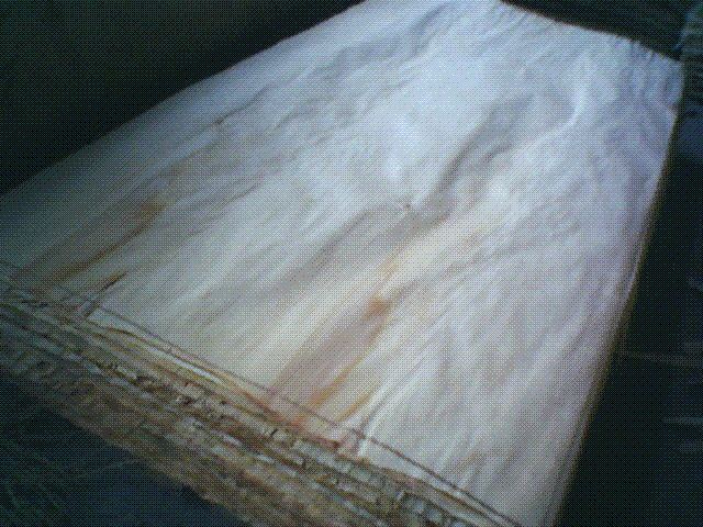 ��ľ��Ƥ��Ԕ����B