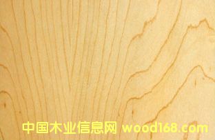 ��ľ�N����Ԕ��(x��)��B