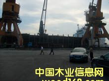 ��ɼԭľ��Ԕ����B