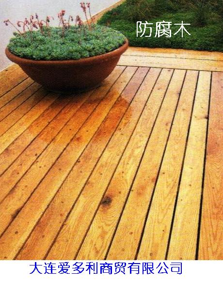 �������ľ�ذ��Ԕ��(x��)��B