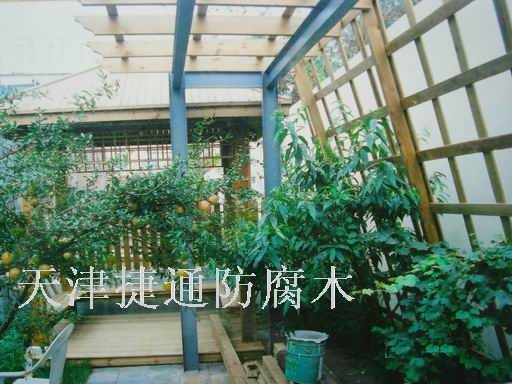 ���Ѽܵ�Ԕ��(x��)��B