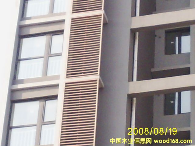 ��ľ���~��