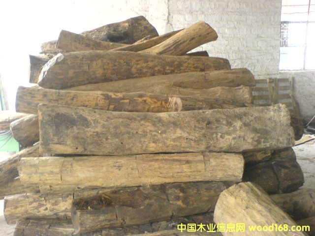 ��֦��Ԕ��(x��)��B