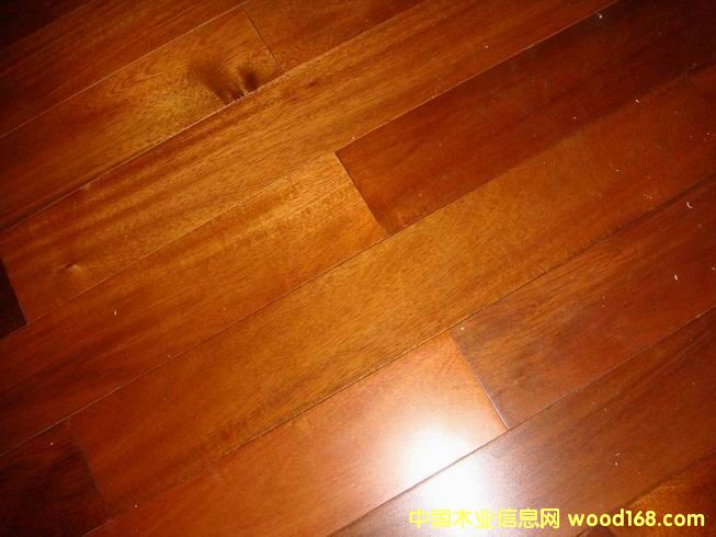 ��˼ľ�ذ��Ԕ����B