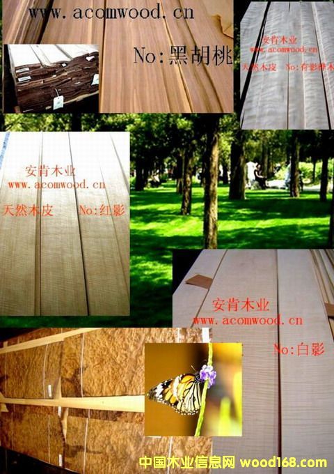 �b���2��Ԕ����B