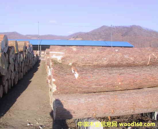 ��ľ����ľ���ľ��Ԕ����B