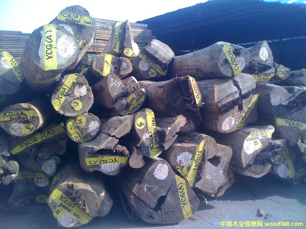 �����u��ľԭľ��Ԕ��(x��)��B